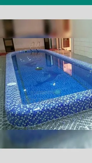 Swimming Pool Professional