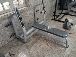 Commercial Weight Lifting Bench