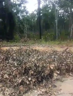 150 Acres 4 Sale Along Sapele Rd, Near Warri Delta State
