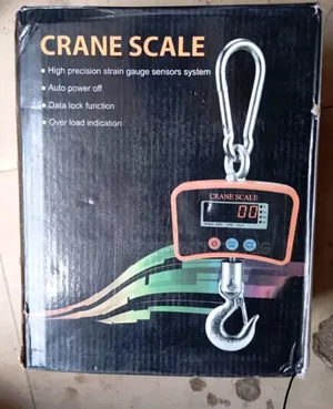 Crane Scale