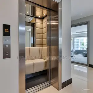 Luxurious Beautiful 400kg Private House Use Elevator Price