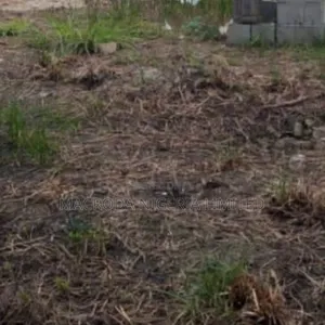 Commercial Land Available at Awoyaya