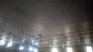 Suspended Ceiling