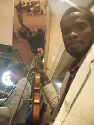 Violin Performer