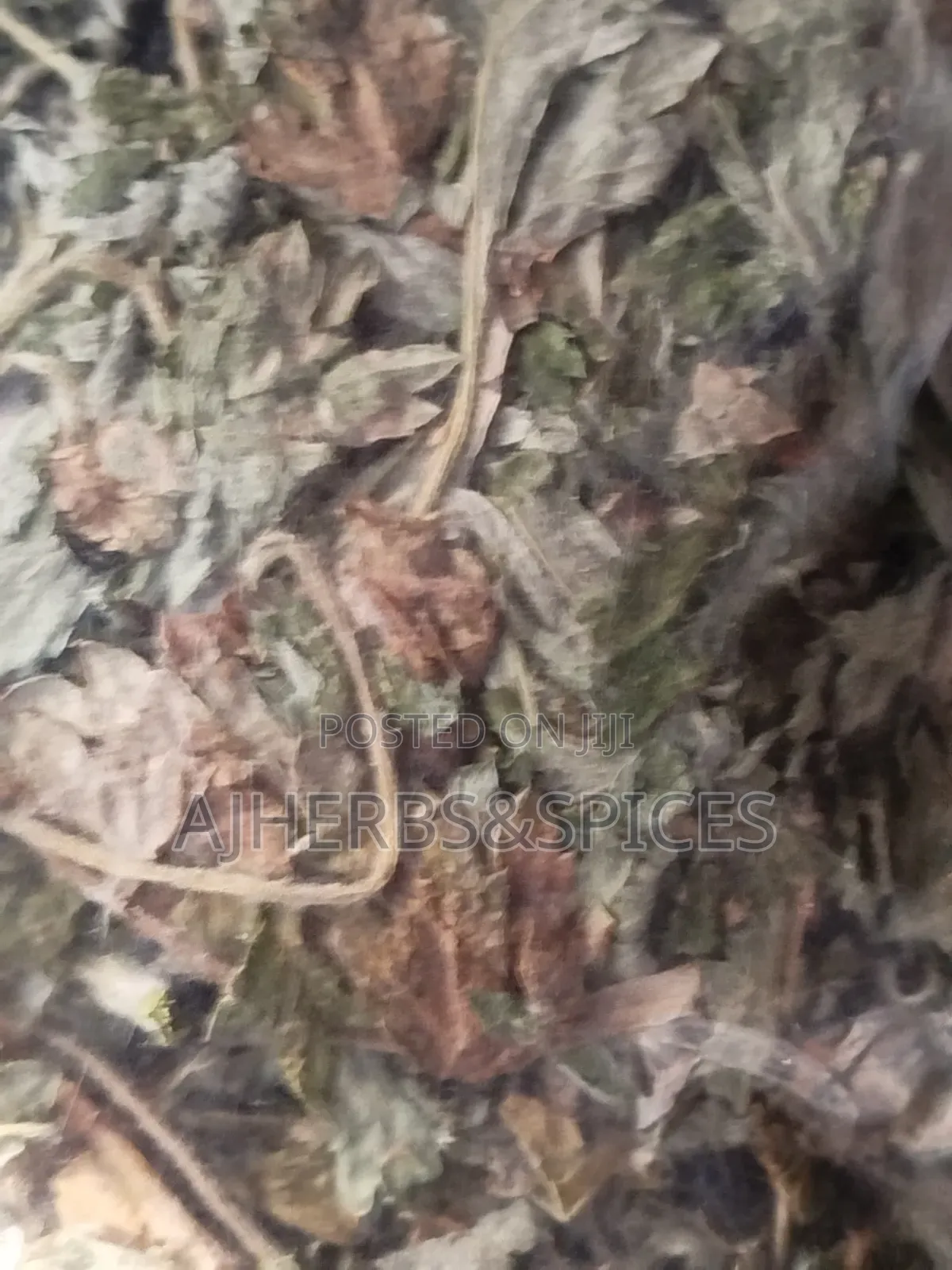 Freshly Dried Mugwort Leaf