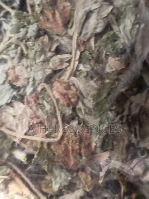 Freshly Dried Mugwort Leaf