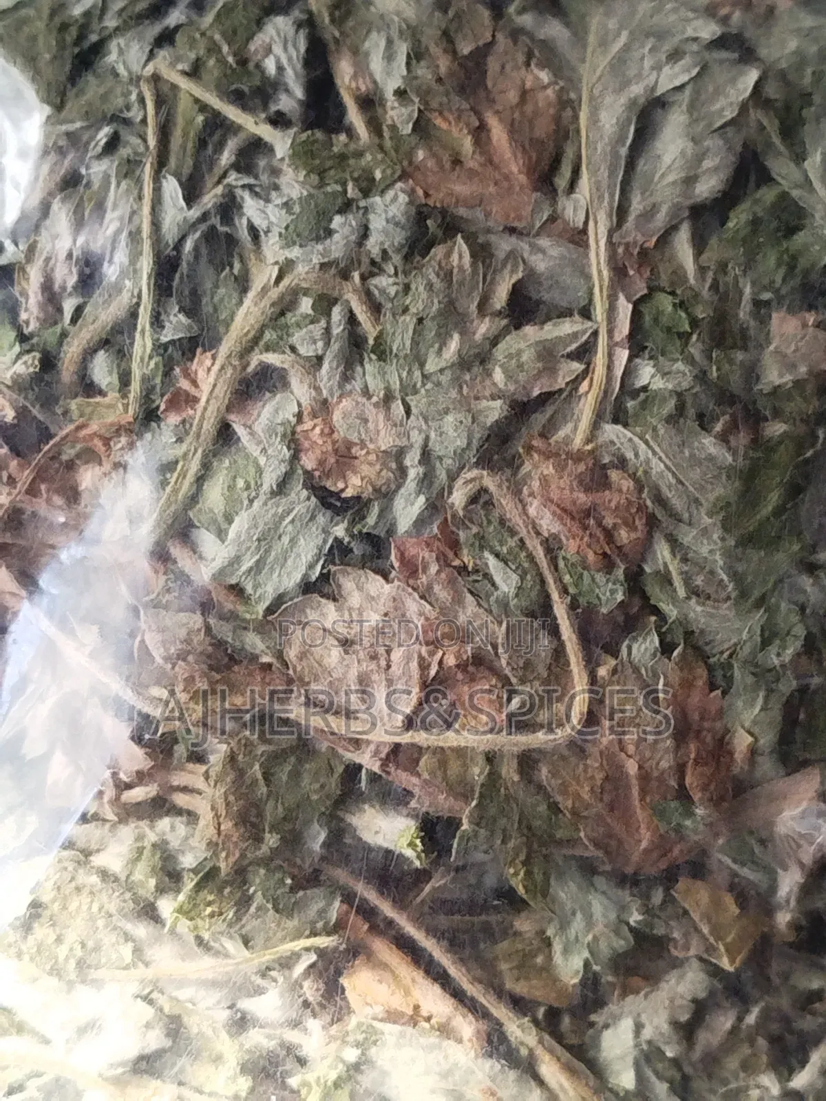 Freshly Dried Mugwort Leaf