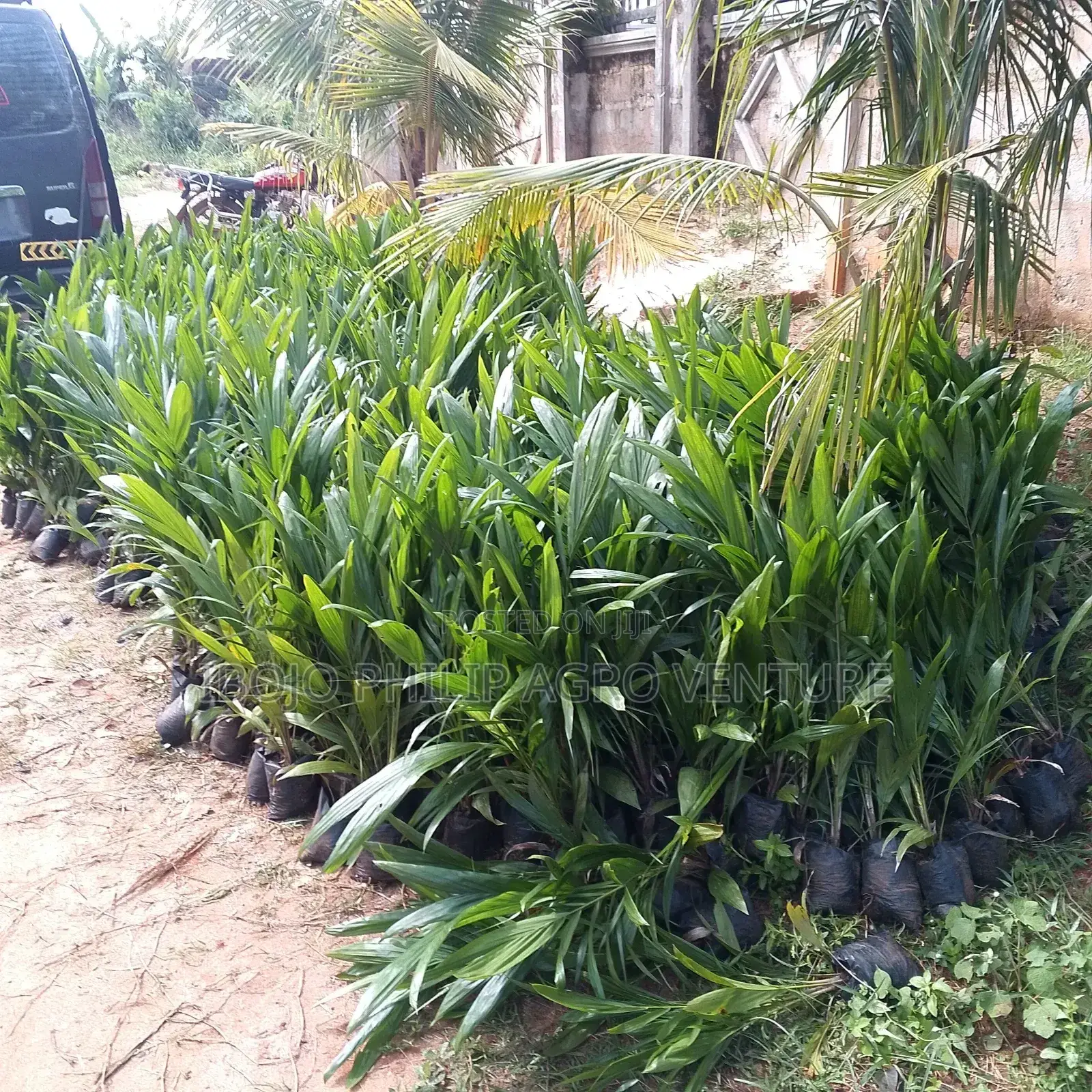 Philip Agro