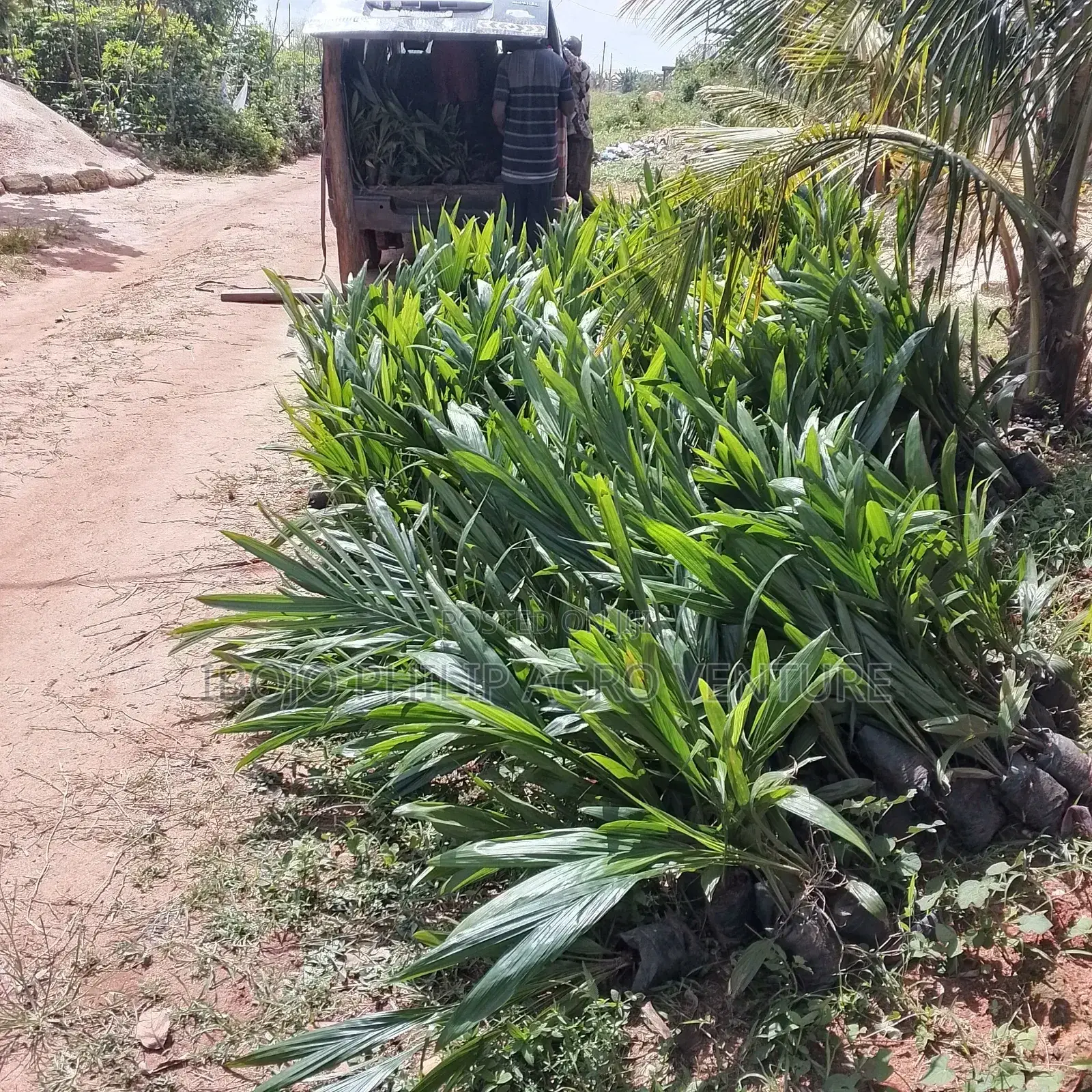 Philip Agro