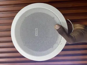 Ak Super 30watts Ceiling Speaker