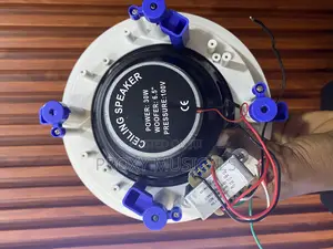 Ak Super 30watts Ceiling Speaker