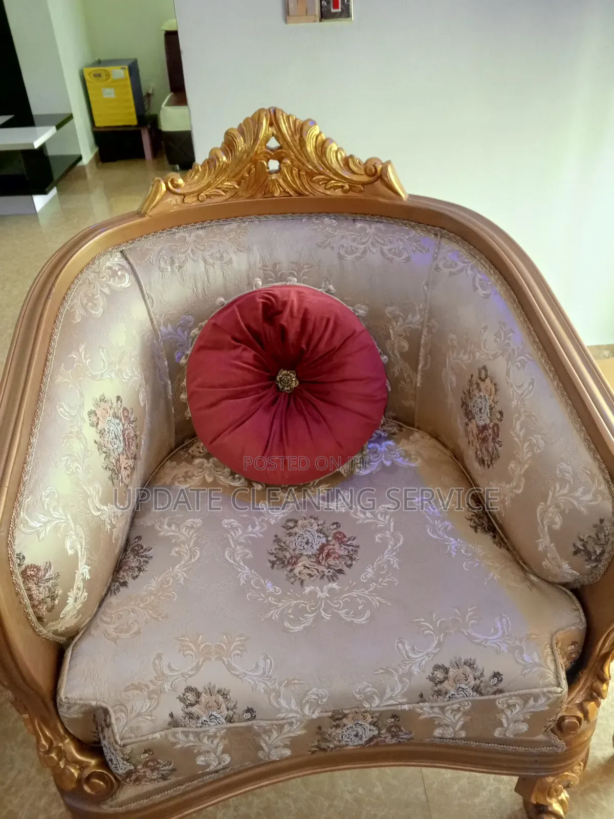 Upholstery Cleaning Services