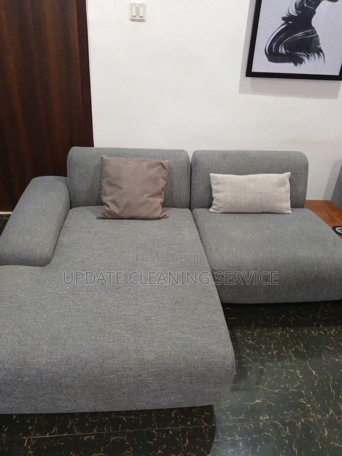 Upholstery Cleaning Services