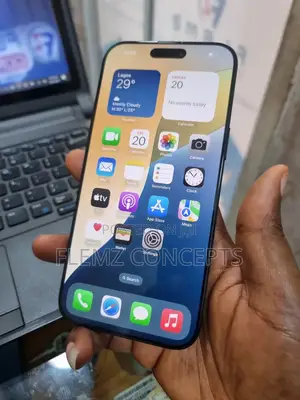Apple iPhone 16 Pro Max 256 GB Gray