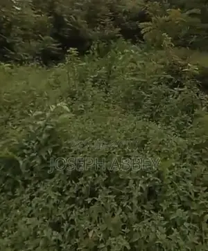 Photo - 4 Plots Of Land For Sales