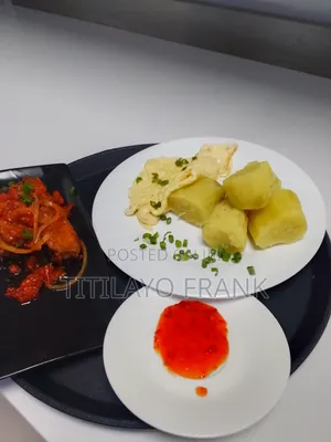 Professional Cook