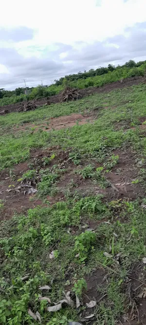 Photo - Rivira Parks and Garden Ido Ibadan