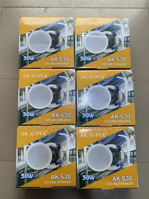 Ak Super 30watts Ceiling Speaker