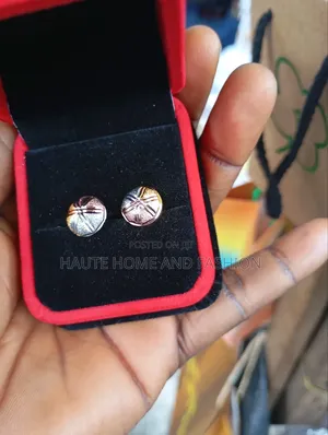 Two Stones Earrings Boxed
