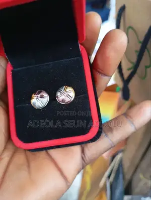 Two Stones Earrings Boxed