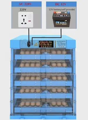 Egg Incubator (320eggs Capacity)