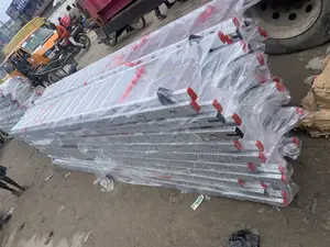 Aluminum Double Adjustable Ladder 10mtrs