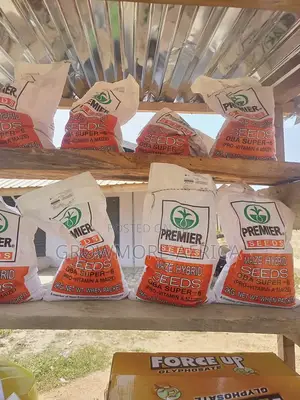 Premier Oba Super 6 Hybrid Maize