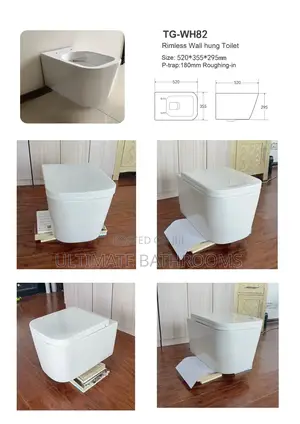 Rimless Square Design White Conceal Watercloset