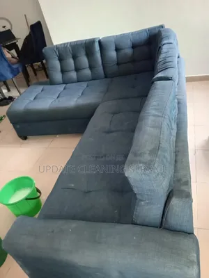 Professional Sofa Cleaning and Disinfecting Services