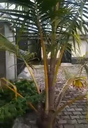 5bdrm Bungalow in Off Pti Road, Warri for sale