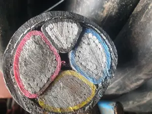Photo - 400mm 3/1core Armoured Aluminium Cable