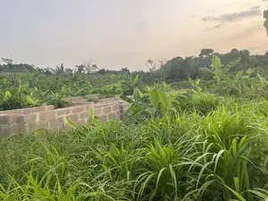 Photo - Full Plot for Sale
