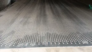 3mm Tickness Plate Mesh