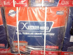 Xantress America 260ah 12v Battery