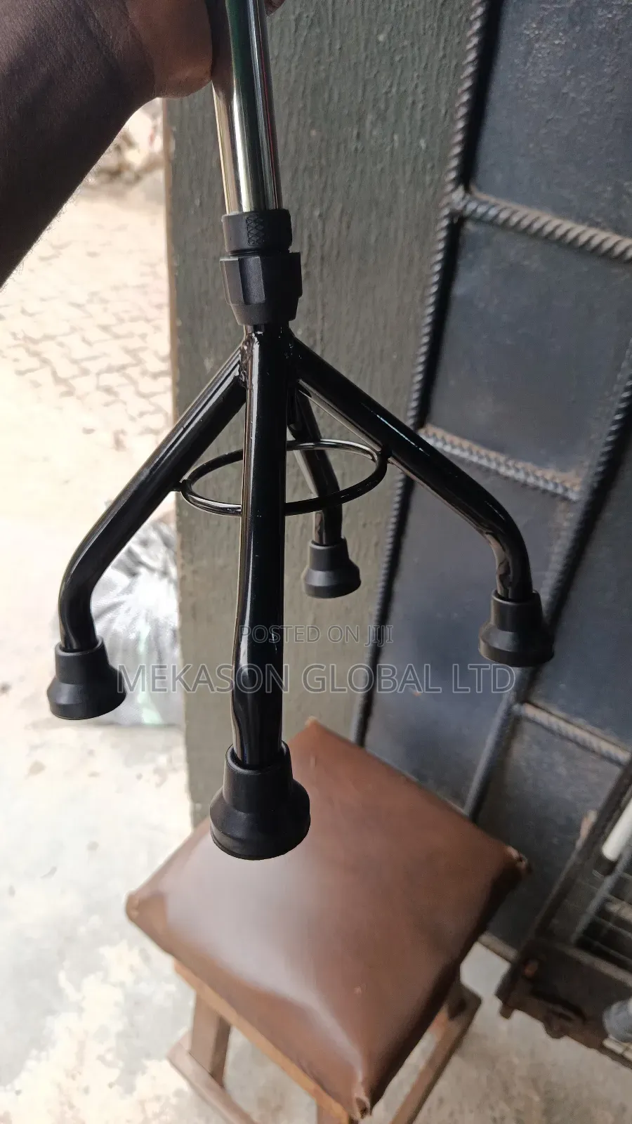 Walking Stick