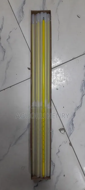 Mercury Thermometer