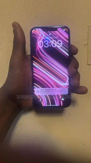 Apple iPhone 13 256 GB Blue