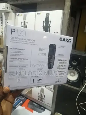 Akg P120 Condenser Microphone