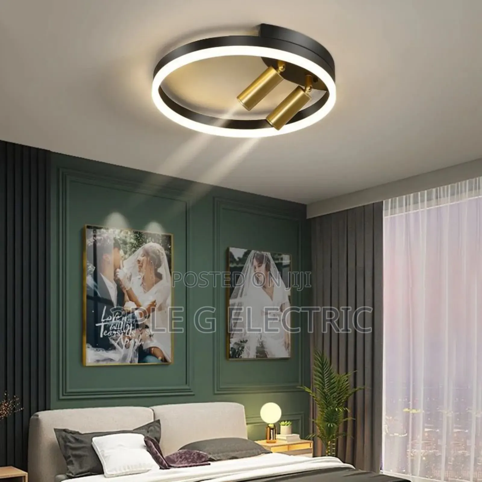 Nordic Ceiling Flush With 2 Pointer