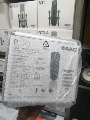 Akg P220 Condenser Microphone (Large Diaphragm)