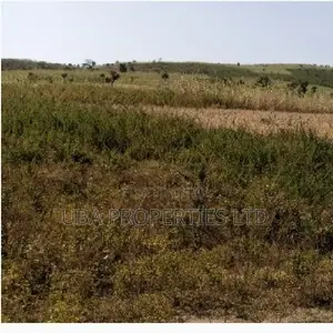 1 Hectare at Apo