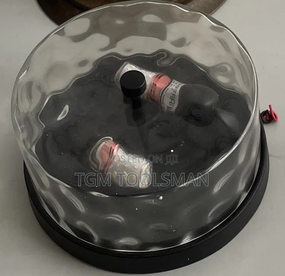 11'' Wide 2-Light Outdoor Flush Mount