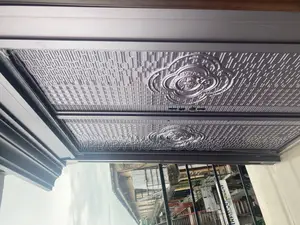 Cast Aluminum Security Door With Arc 5ft by 8ft