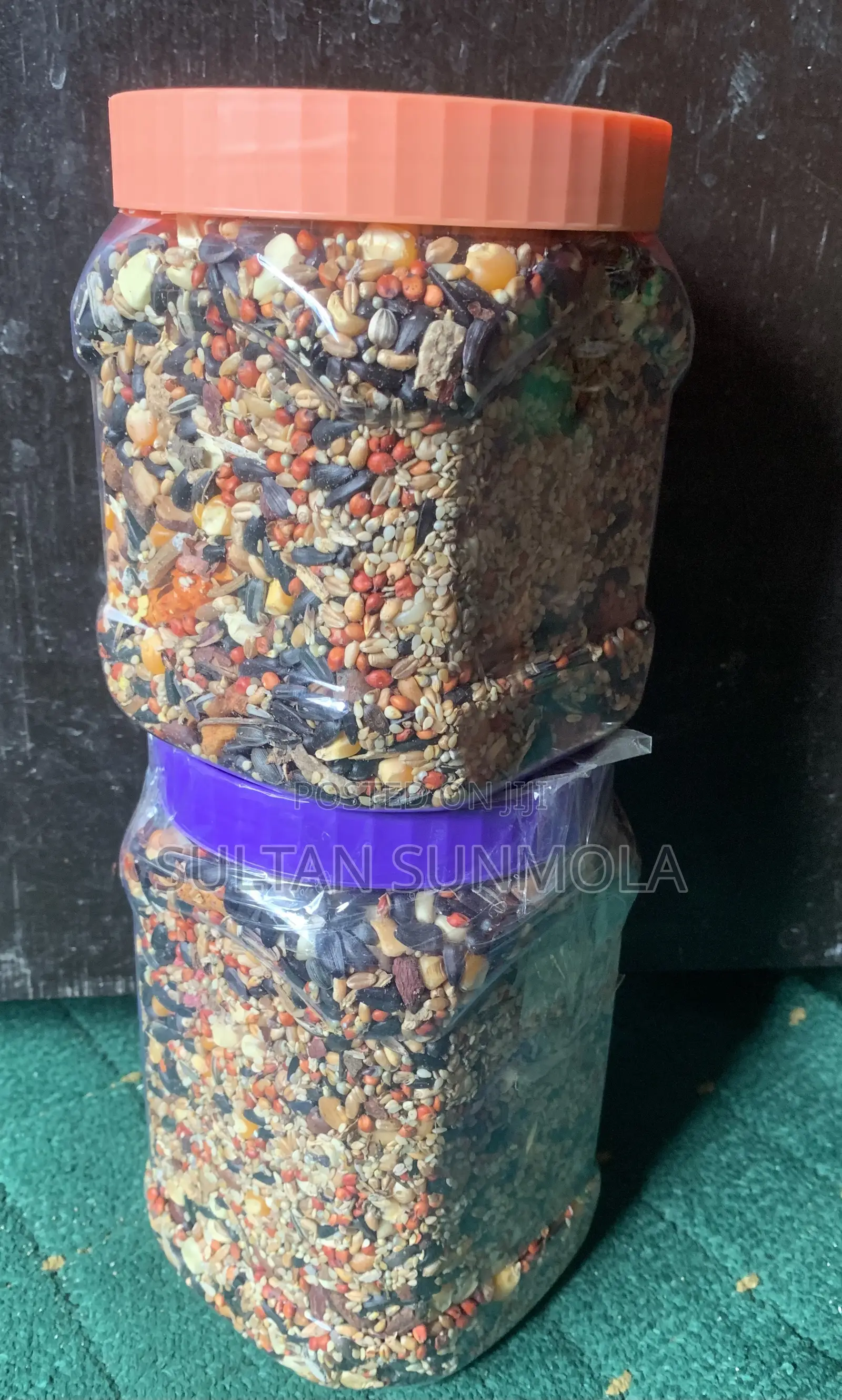 Essential Seed-Mixed Parrot Feed