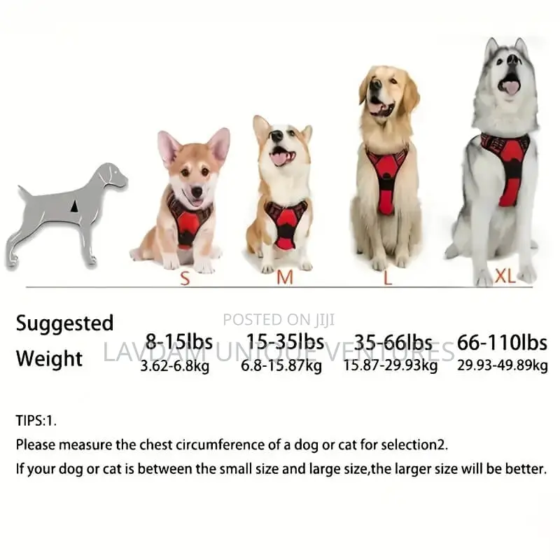 Adjustable Dog Harness With Leash – For Medium Large Dogs