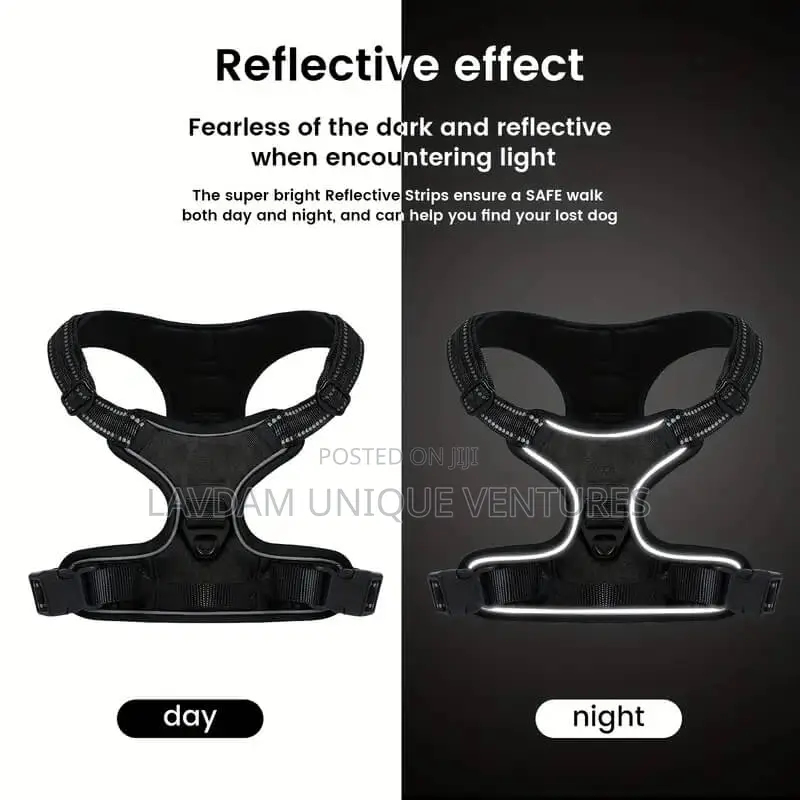 Adjustable Dog Harness With Leash – For Medium Large Dogs