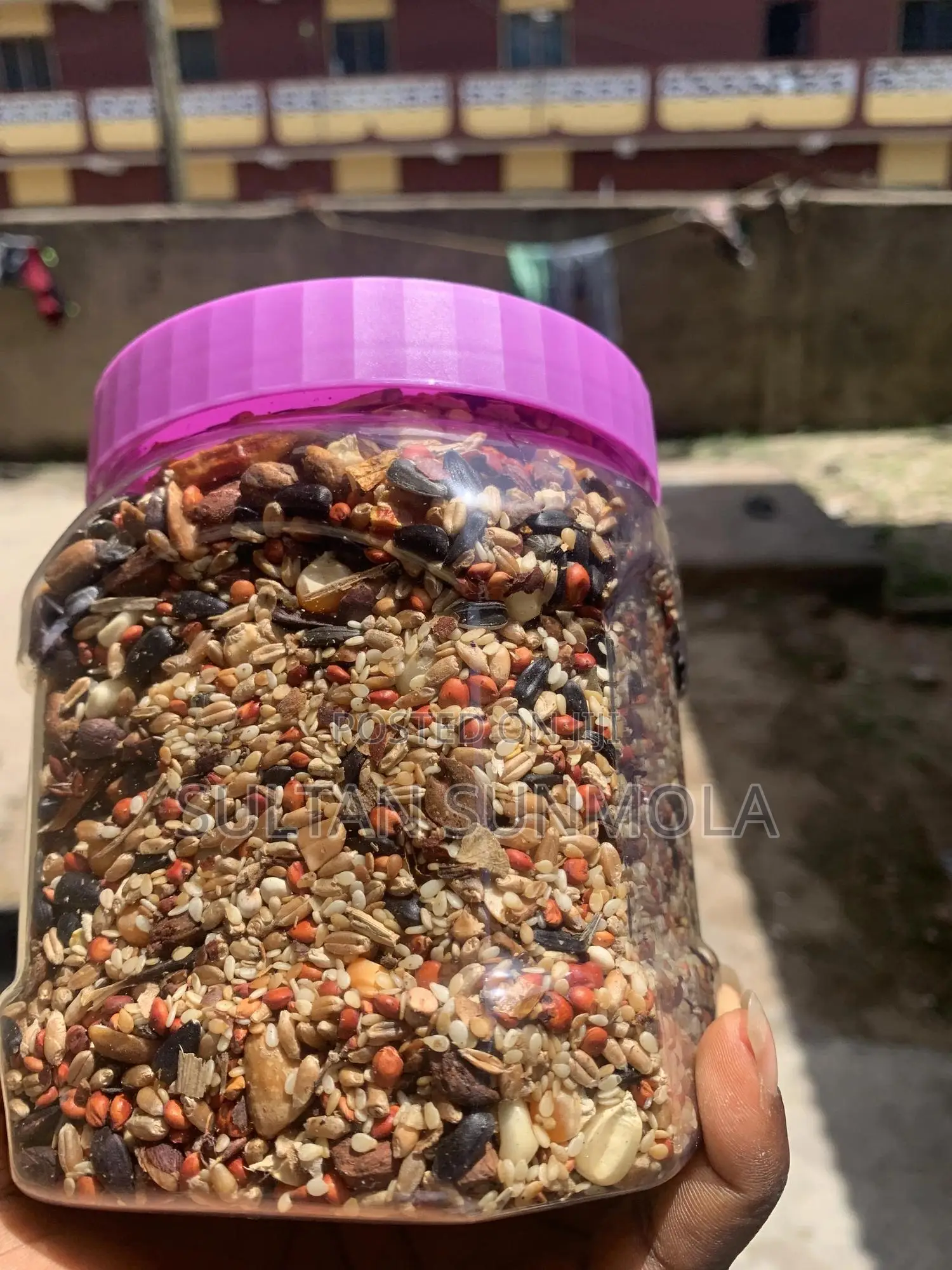 Essential Seed-Mixed Parrot Feed