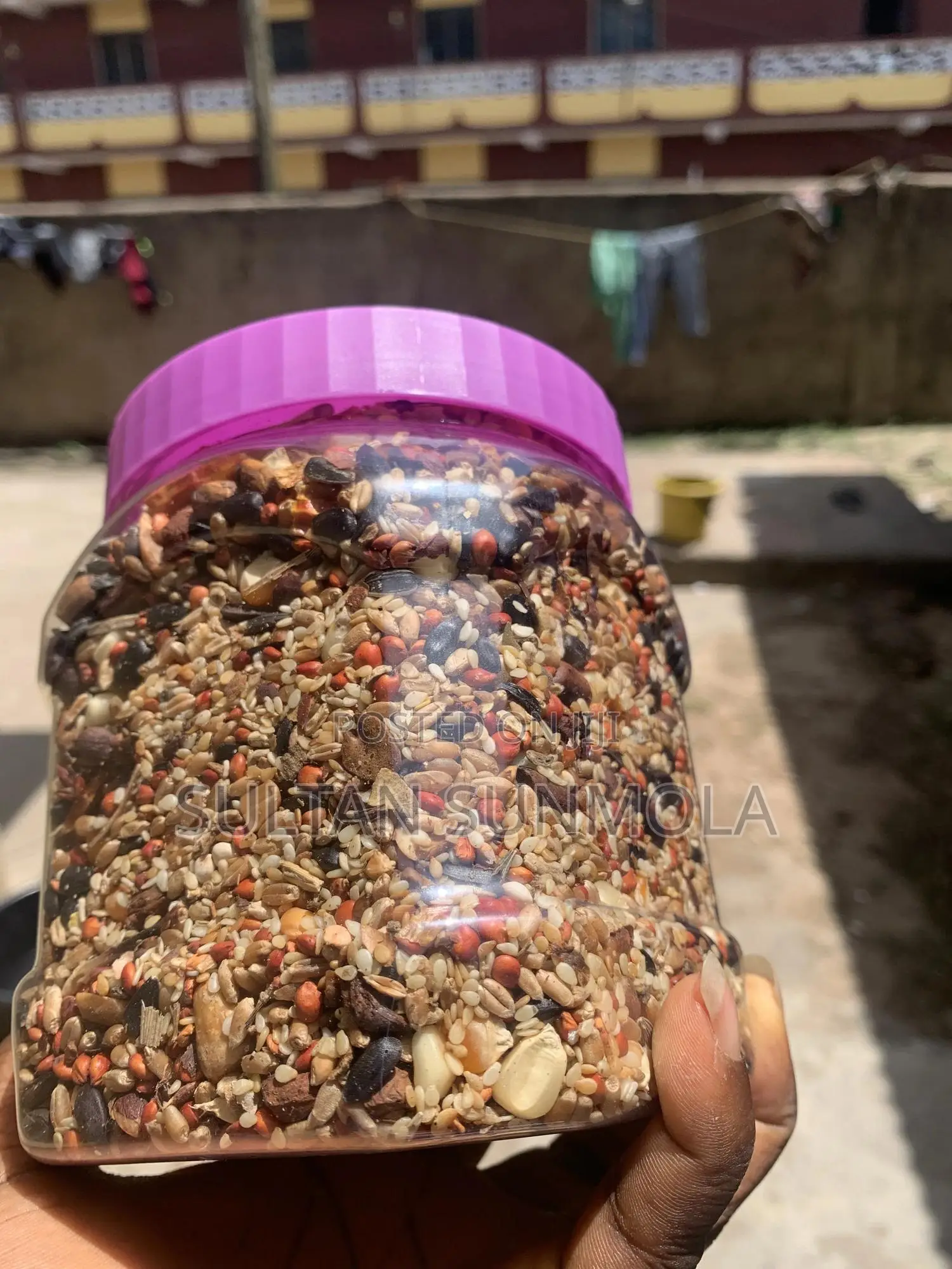 Essential Seed-Mixed Parrot Feed