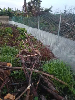 Farms Chain Link Fencing Wires With Boko Aram Mesh Wires Net