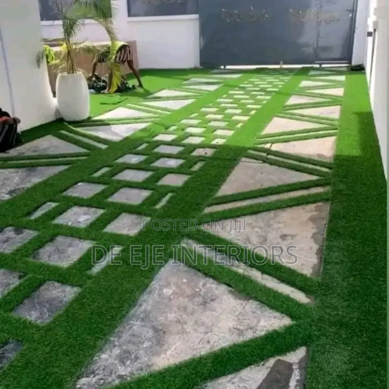 Carpet Grass